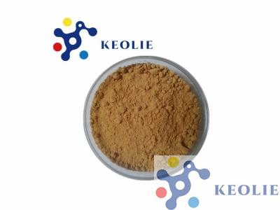 Milk Thistle Extract Powder