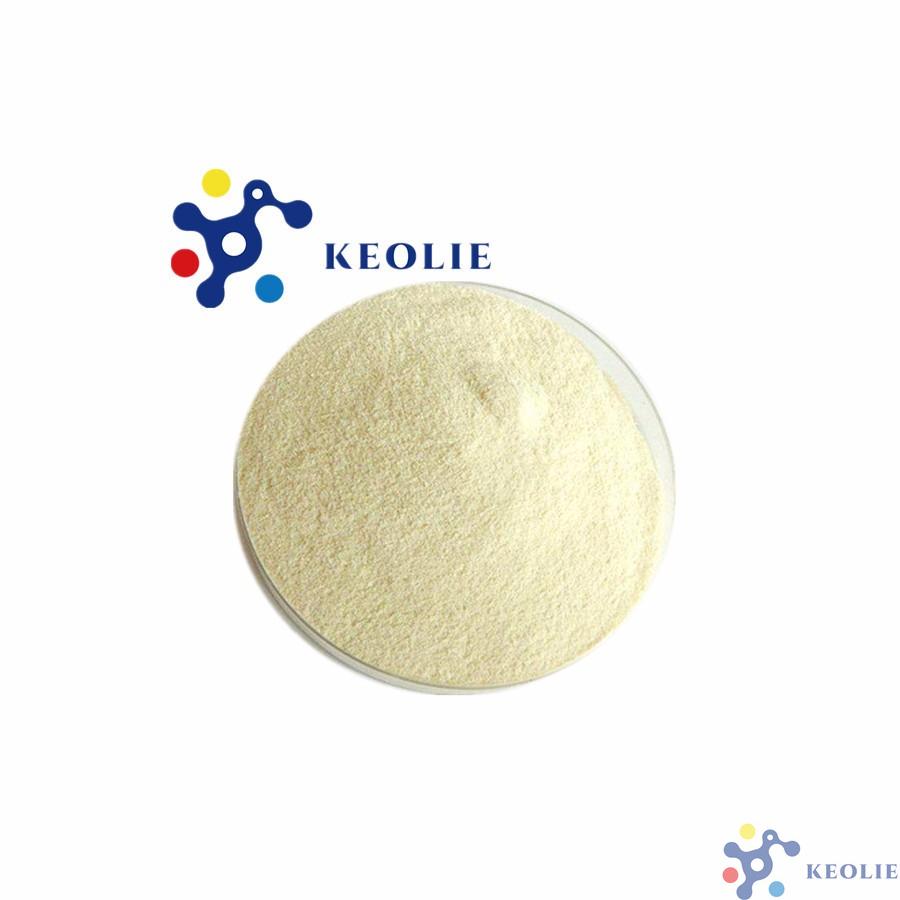 Chitosan Powder